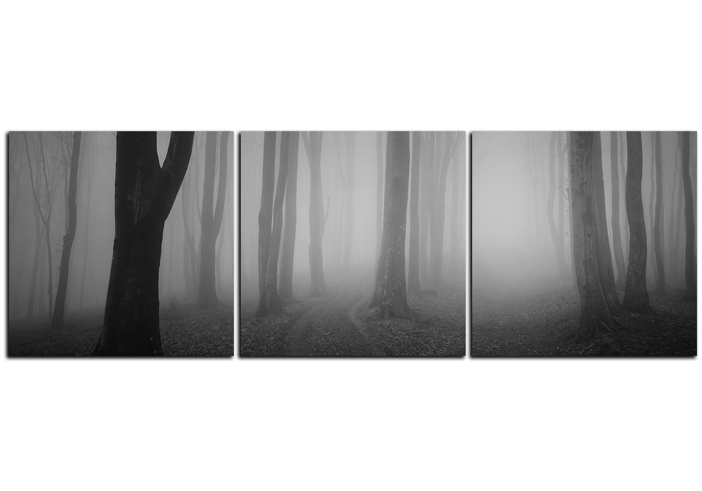 Obraz na plátně - Mlha v lese - panoráma Obraz na plátně - Mlha v lese - panoráma